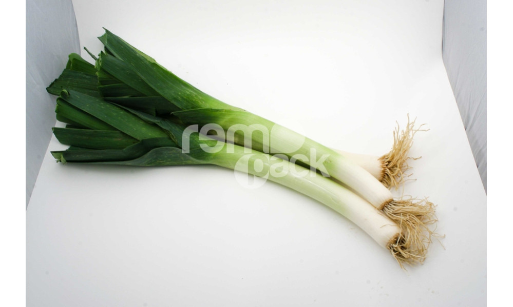 PORRO LUNGO