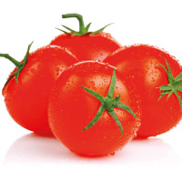 POMODORO TONDO