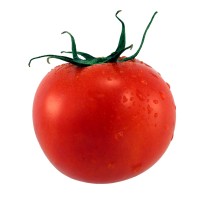 POMODORO TONDO