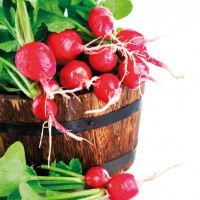 RAVANELLO TONDO ROSSO