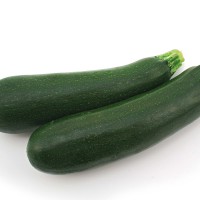 ZUCCHINO LUNGO SCURO F1