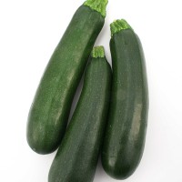 ZUCCHINO LUNGO SCURO F1