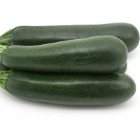 ZUCCHINO LUNGO SCURO F1