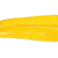 ZUCCHINO GIALLO F1