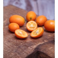 KUMQUAT