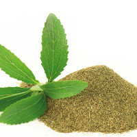 STEVIA