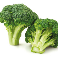 CAVOLO BROCCOLO