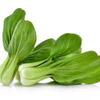 CAVOLO CINESE PAK CHOI