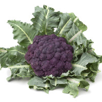 CAVOLO BROCCOLO RAMOSO CALABRESE ROSSO