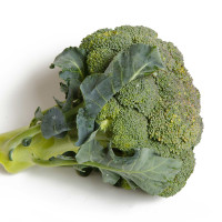 CAVOLO BROCCOLO