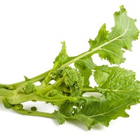 CIMA DI RAPA