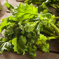 CIMA DI RAPA