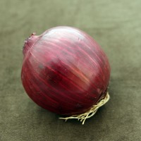 CIPOLLA ROSSA TONDA