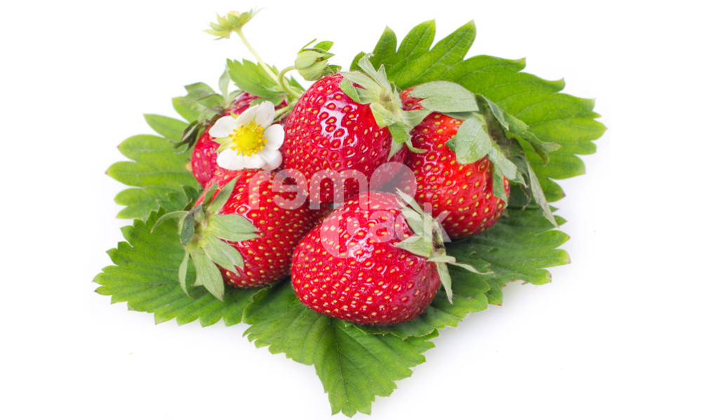 FRAGOLA