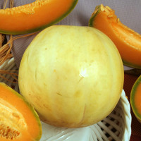 MELONE LISCIO