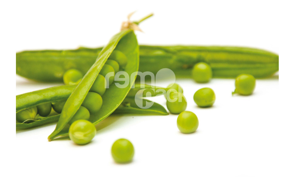 PISELLO