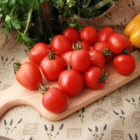 POMODORO TOMATOBERRY