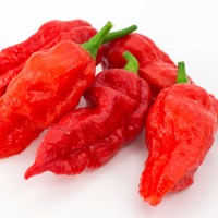 PEPERONCINO NAGA MORICH (RUGOSO)