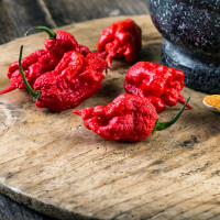 PEPERONCINO CAROLINA REAPER