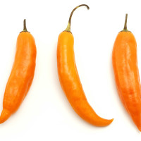 PEPERONCINO AJI AMARILLO