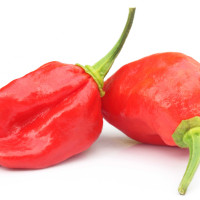 PEPERONCINO BHUT JOLOKIA