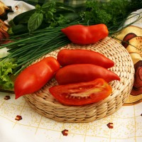 POMODORO CORNO F1