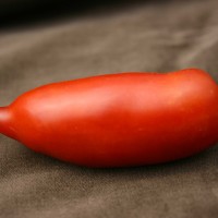 POMODORO CORNO F1