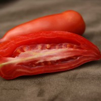 POMODORO CORNO F1