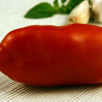 POMODORO CORNO F1
