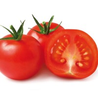 POMODORO TONDO LISCIO F1