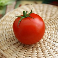 POMODORO TONDO ROSSO