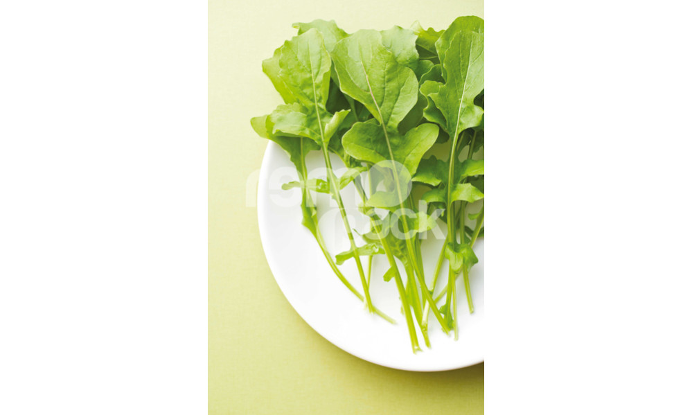 RUCOLA COLTIVATA