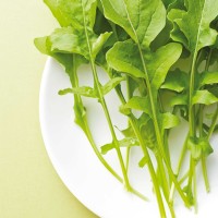 RUCOLA COLTIVATA