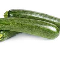 ZUCCHINO EVERY F1