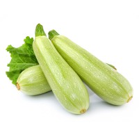 ZUCCHINO BIANCO