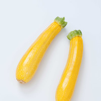 ZUCCHINO GIALLO F1