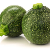 ZUCCHINO TONDO SCURO