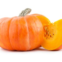 ZUCCA MOSCATA DI PROVENZA