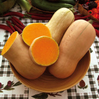 ZUCCA BUTTERNUT LISCIA