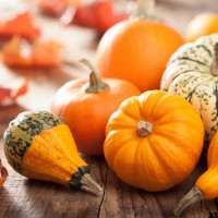 ZUCCA ORNAMENTALE MIX