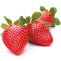 FRAGOLA