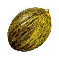 MELONE PIEL DE SAPO