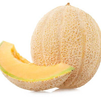 MELONE CANTALUPO