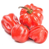 PEPERONCINO SCOTCH BONNET 