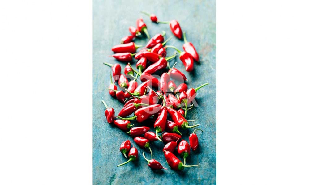 PEPERONCINO JALAPENO MESSICANO 