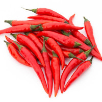 PEPERONCINO CAYENNA CORTO 