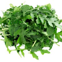 RUCOLA SELVATICA