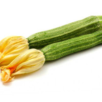 ZUCCHINO LUNGO ROMANESCO