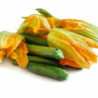 ZUCCHINO DA FIORE