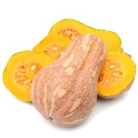 ZUCCA BUTTERNUT VIOLINA RUGOSA